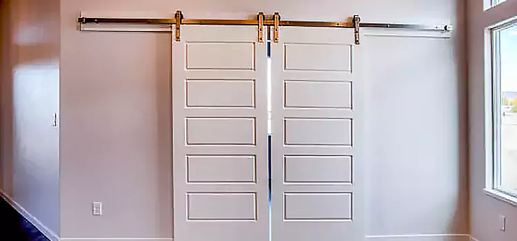 Glass Barn Door with Installation Hardware Kit Benicia