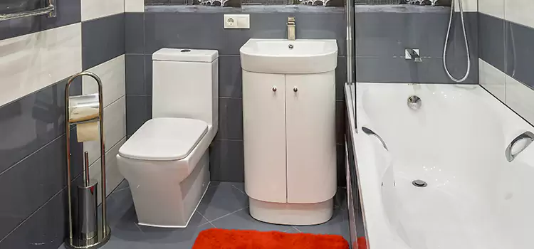Hansgrohe Shaving Mirror Benicia